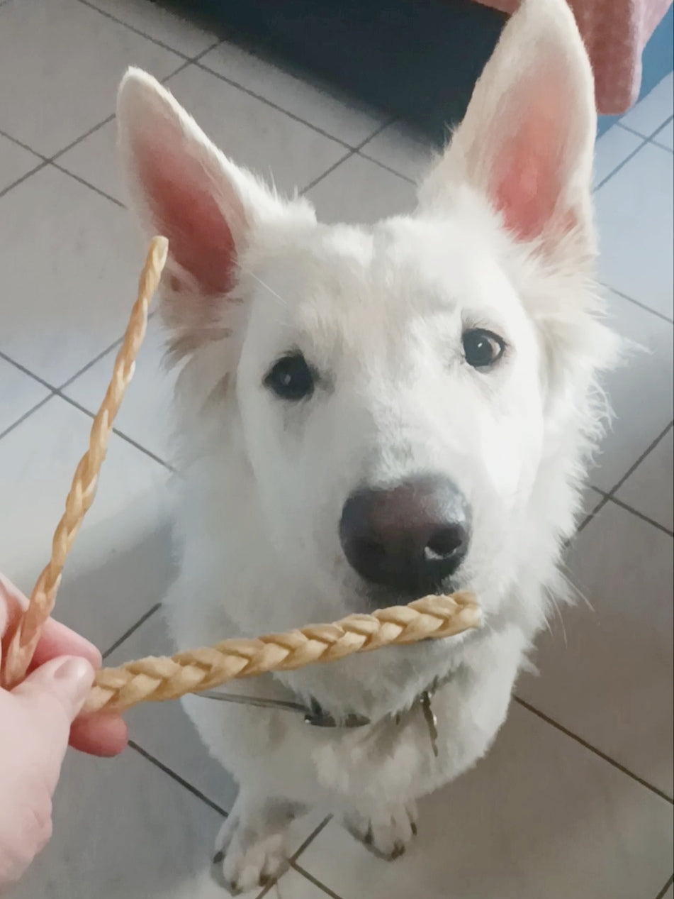 Tresse de cuir chevelu de buffle - S