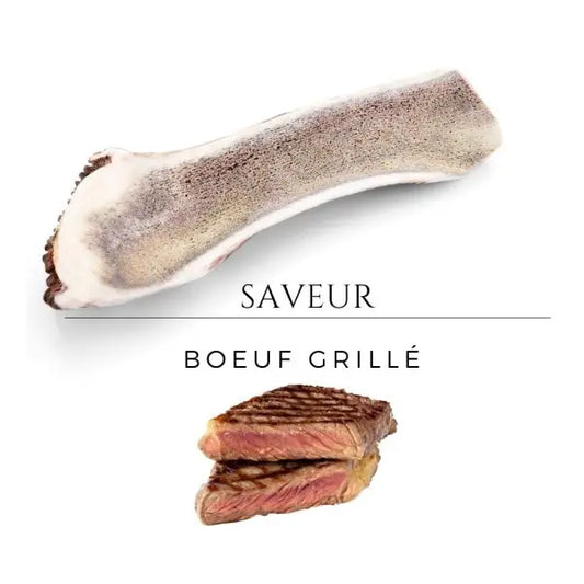 Bois de cerf tranché aromatisé au bœuf grillé - Taille L